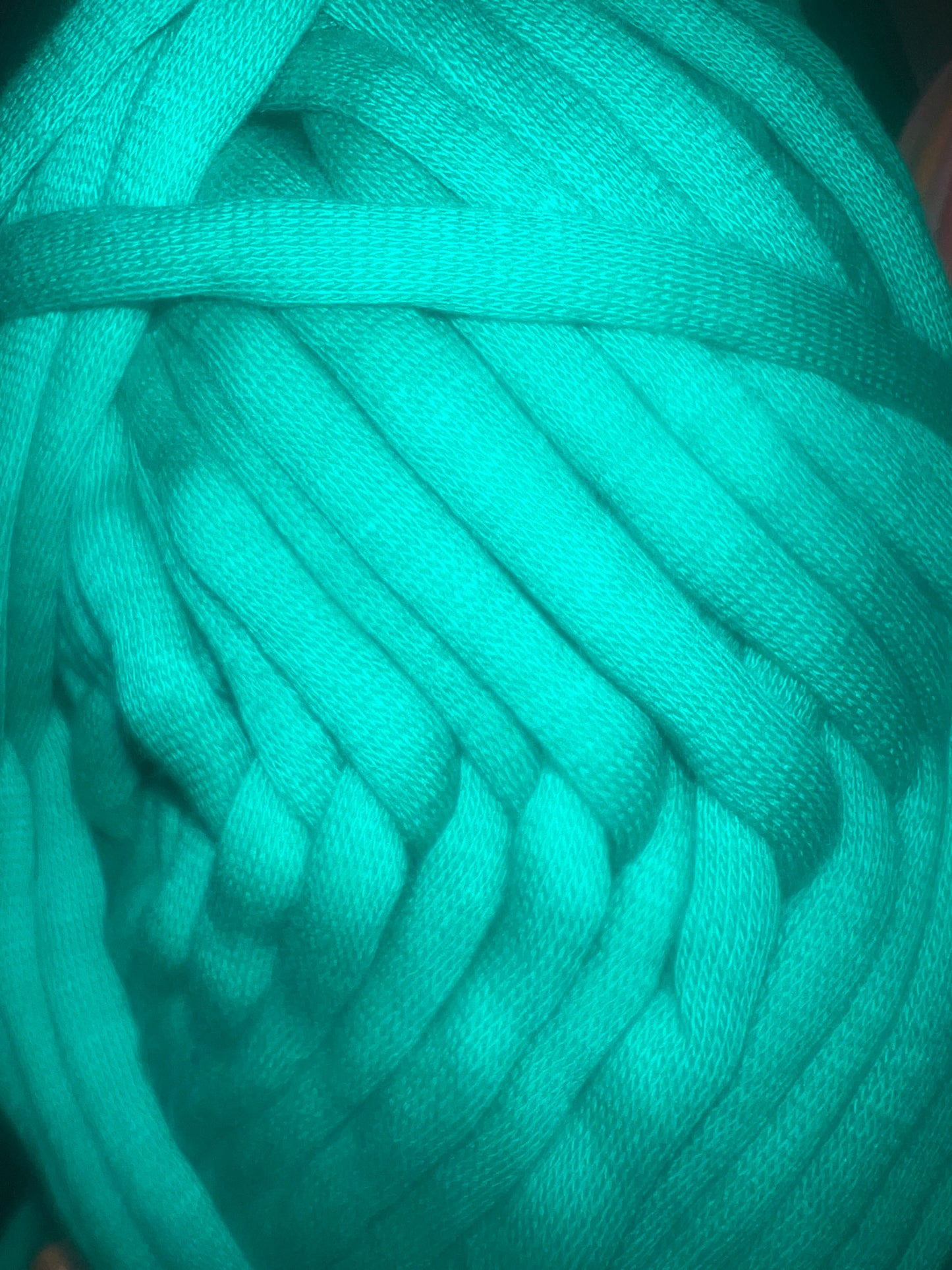 Mini Loop Bag